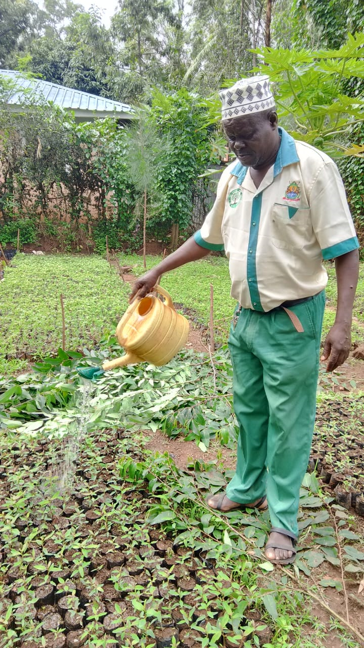 Tree planting event in Homa Bay