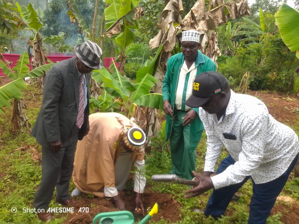 School children watering trees