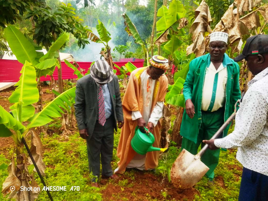 Tree planting event in Homa Bay