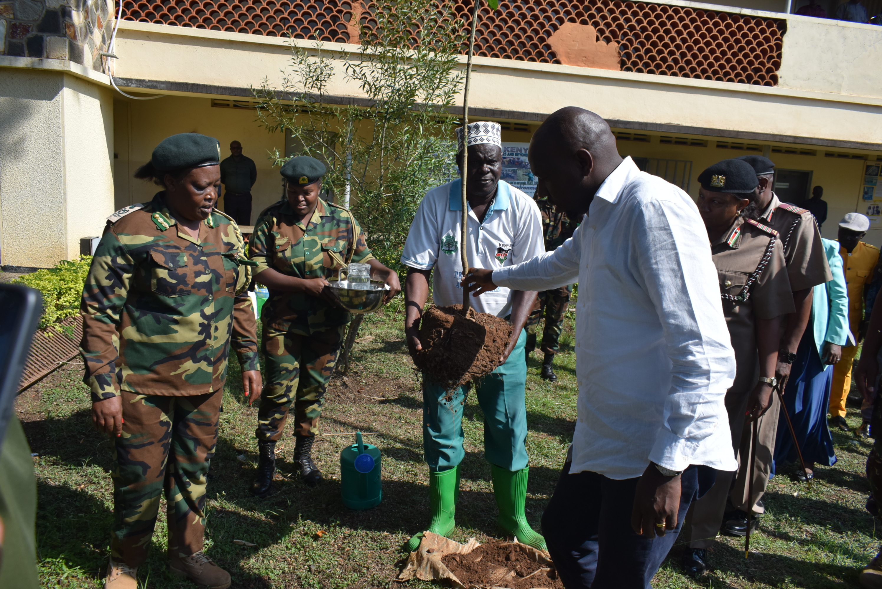 Community members planting seedlings