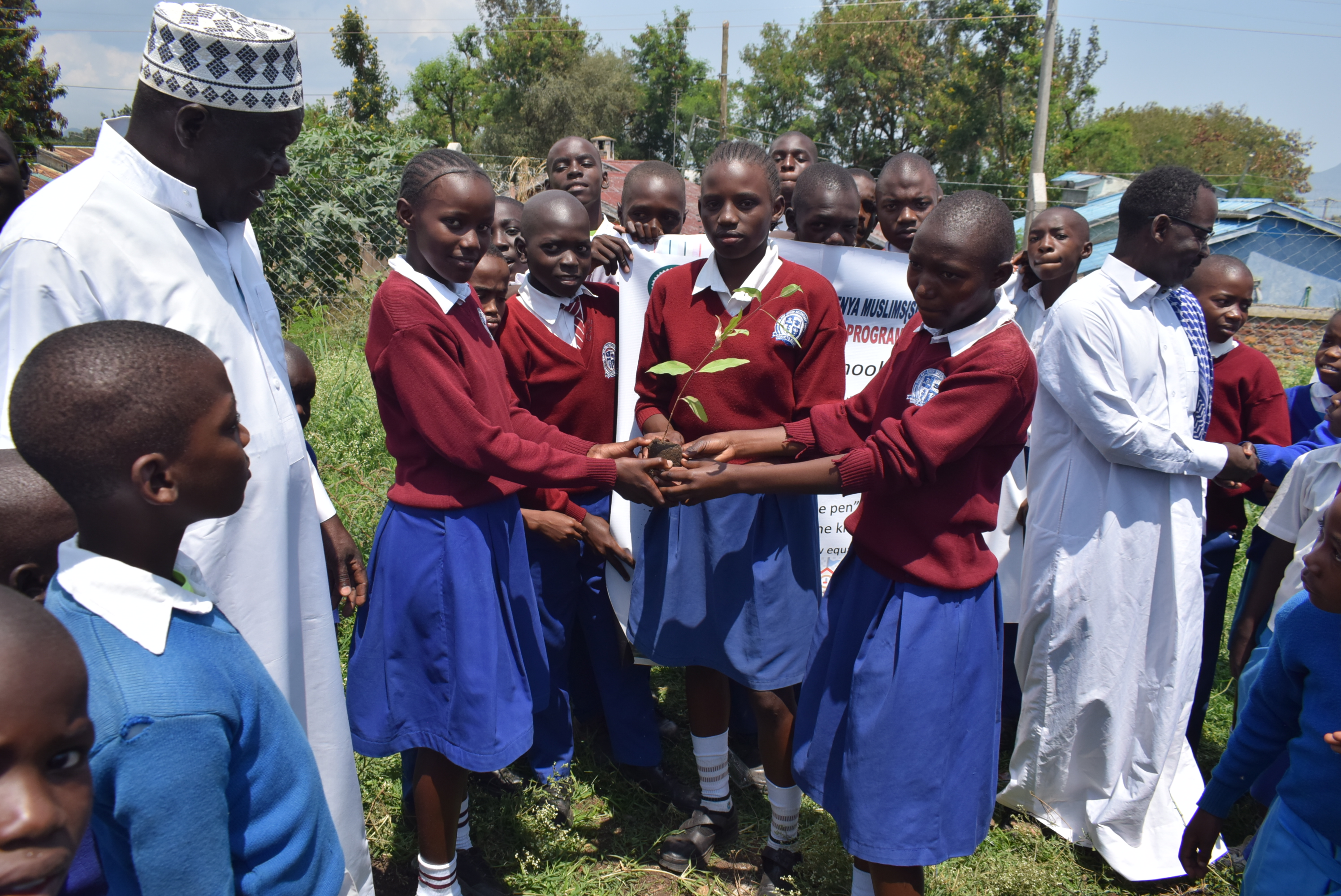 Tree planting activity